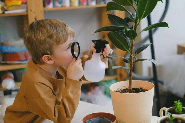 An image of a strong-willed child who is watching his plant carefully with a magnifying glass.